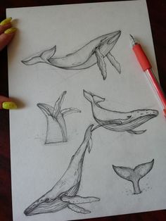 a drawing of whale's and their tails on paper with marker pens next to it