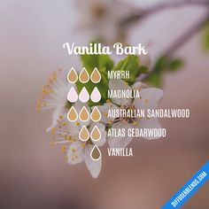 Essential Oil Combos, Essential Oil Perfume Blends, Homemade Perfume, Organic Perfume, Doterra Diffuser Blends, Essential Oil Combinations, Essential Oils Guide