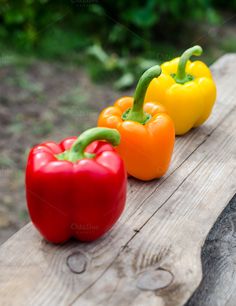 three different colored peppers sitting on top of a wooden bench