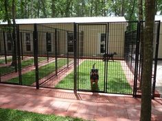 a fire hydrant in the middle of a fenced yard with a dog behind it