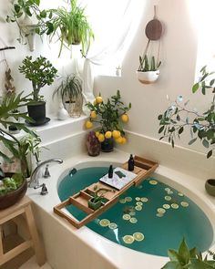 a bathtub filled with lots of potted plants