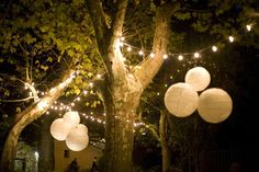 some white paper lanterns hanging from a tree in the night with string lights strung around them