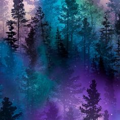 an image of trees in the woods with blue and purple colors on it's background