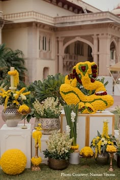 there are many yellow flowers in vases on the grass near some plants and trees