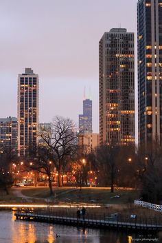 the city skyline is lit up at night with lights reflecting in the water and trees