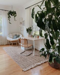 a living room filled with lots of plants next to a white couch and table on top of a hard wood floor