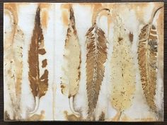 four different types of feathers on a piece of metal with rusted paint and brown spots