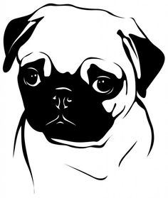 a black and white drawing of a pug