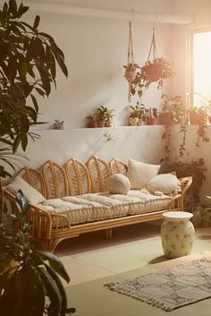 a living room filled with lots of plants and furniture