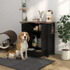 a brown and white dog sitting on top of a rug next to a black cabinet