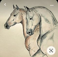 two horses standing next to each other on top of a white paper sheet with watercolor pencils