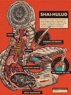 an image of the inside of a human body with labels on it and other things to see