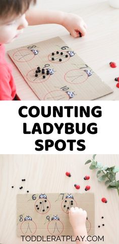 counting ladybug spots game for toddlers to play with