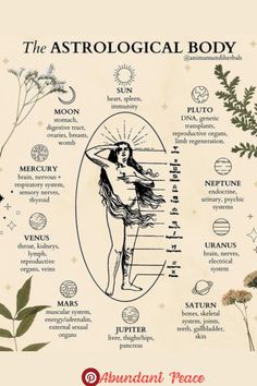 "Balance your energy and align your chakras. ✨ Learn about the power of energy healing and how it can transform your life. #Spiritual How To Learn Astrology, Forms Of Divination, Astrology Notes Aesthetic, Astrology Infographic, Astrology Grimoire, Book Of Shadows Astrology, Astrology Branding, Body Astrology, Health Astrology