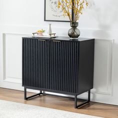 a black cabinet with two doors and a vase on top of it next to a white rug