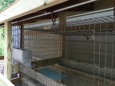 the caged animals are waiting for their owners to take them home or put them in