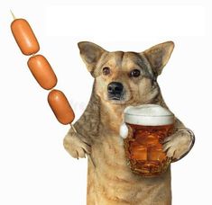 a dog holding two hot dogs and a jar of honey