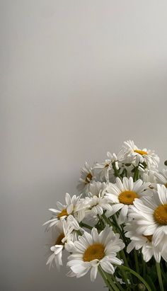 a vase filled with white daisies on top of a wooden table next to a wall