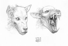 two drawings of wolfs with their mouths open