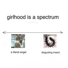 an arrow pointing to the words, childhood is a spectrum and a liberal angel disgusting insect