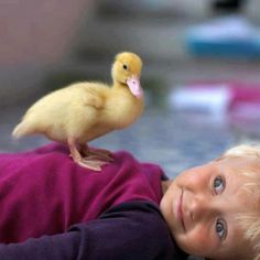 a little boy laying on top of a floor next to a duck