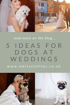 the bride and groom are posing with their dogs