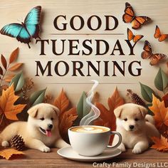 two puppies are sitting in front of a cup of coffee with the words good tuesday morning