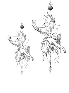 two birds with long wings flying next to each other on a white background in black and white