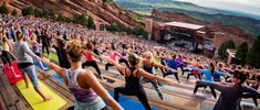 a large group of people doing yoga outside