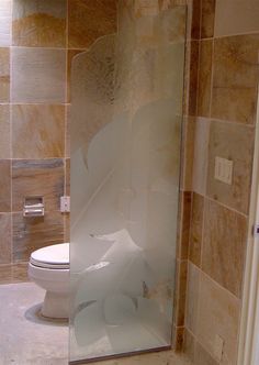 a bathroom with a toilet and a glass shower door in the corner that is partially open