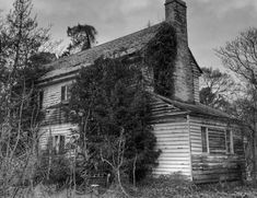 black and white photograph of an old house with ivy growing on it's roof