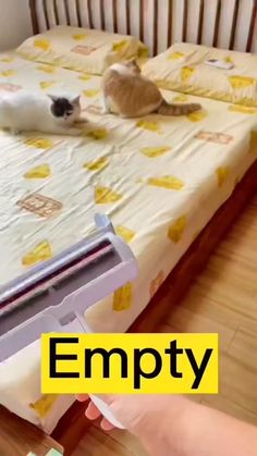 two cats sitting on top of a bed in a room with wooden floors and white walls