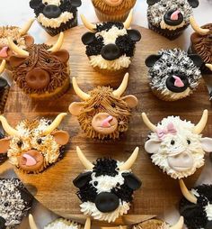 there are many cupcakes that have been decorated with animals and sheep's heads