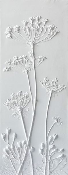 Relief flowers cast in plaster as a piece of wall art. Queen Anne's Lace, Hypericum & Ammi Majus plants were used Ladies Mantle, Lady's Mantle, Cow Parsley, Plaster Cast, Flower Tile, 3d Image, Decorative Wall Plaques, Plaster Art