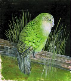 a green bird sitting on top of a wooden log next to water and grass in the background