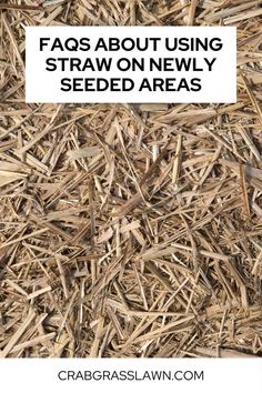 FAQs about using straw on newly seeded areas Grass Seed, How To Use, Straw