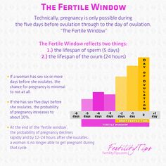 the fertile window info sheet for women's health and personal care services