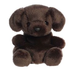 Sienna Chocolate Lab plush from Palm Pals, with luxurious brown fur and tender eyes, comforting Comfortable Silence, Palm Pals, Floppy Ears, Chocolate Lab, Black Eyes, The Embrace, Character Inspo, Feel Safe