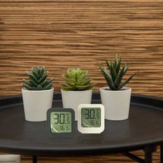 three small clocks sitting on top of a table next to two succulents