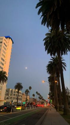 palm trees line the street in front of tall buildings at dusk with a full moon