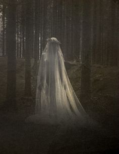 a ghostly bride in the woods with her veil draped over her head