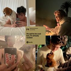 the collage shows people and their pets using cell phones, texting to each other