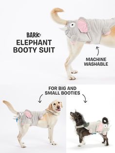 the instructions for how to wear an elephant costume are shown in three different pictures, including a dog and a cat