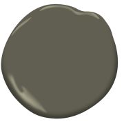 a close up of a gray paint with a white background and the color is dark brown