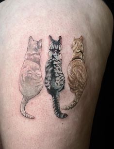 three cats tattoo on the back of a woman's left thigh, with one cat looking at another