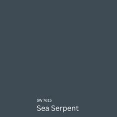 an airplane is flying in the sky over some water and land with text that reads sea serpent