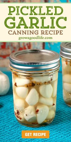 image of a jar of pickled garlic with text overlay that reads pickled garlic canning recipe get recipe at grow a good life dot com How To Store Fresh Garlic Cloves, Storing Peeled Garlic, How To Preserve Peeled Garlic, Store Garlic Cloves How To, How To Keep Garlic Fresh How To Store, How To Keep Garlic Fresh, How To Store Fresh Garlic, Fresh Garlic Storage, How To Store Peeled Garlic