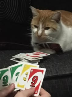 an orange and white cat sitting on top of a couch next to four playing cards