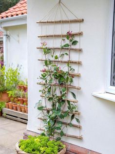 a wicker basket sitting next to a wall with plants growing on it and hanging from the side