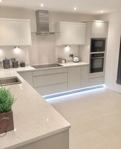 a modern kitchen with white cabinets and counter tops, along with a plant in the center